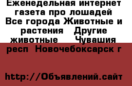 Еженедельная интернет - газета про лошадей - Все города Животные и растения » Другие животные   . Чувашия респ.,Новочебоксарск г.